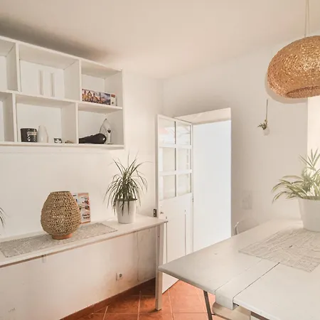 Shared With Bright Private Patio In Lisbona