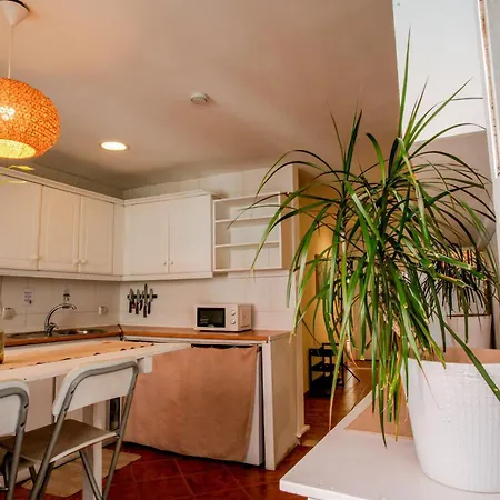 Shared With Bright Private Patio In 게스트하우스