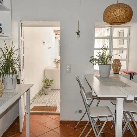 Guest house Shared With Bright Private Patio In Lisbon
