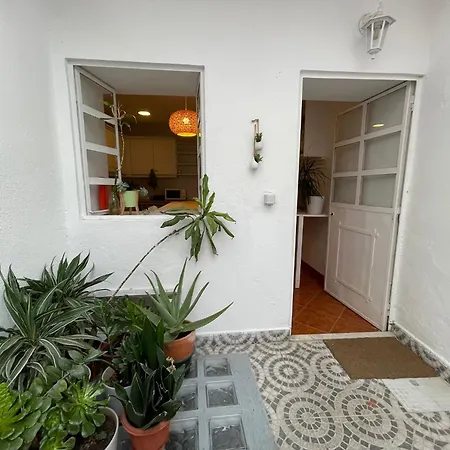 Shared With Bright Private Patio In Lisboa